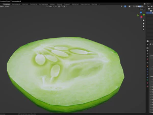 Slice of Cucumber 3D Model