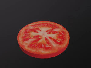 Slice of Tomato 3D Model