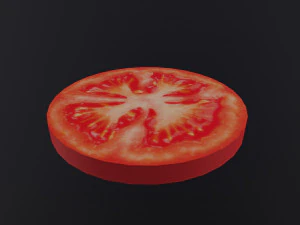 Slice of Tomato 3D Model