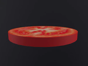 Slice of Tomato 3D Model