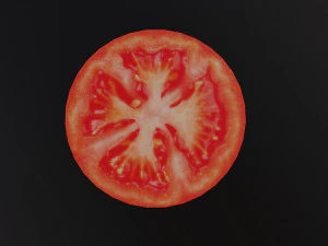 Slice of Tomato 3D Model