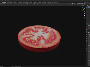 Slice of Tomato 3D Model