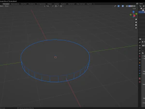 Slice of Tomato 3D Model