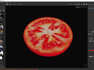 Slice of Tomato 3D Model