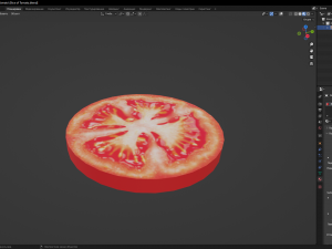 Slice of Tomato Modello 3D