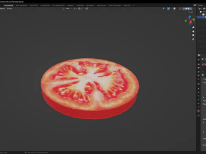 Slice of Tomato 3D Model