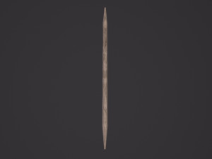 Toothpick Model 3D