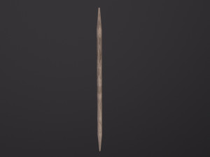Toothpick Model 3D