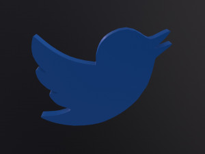Twitter Bird Logo 3D Model