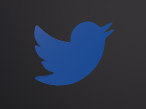 Twitter Bird Logo 3D 모델