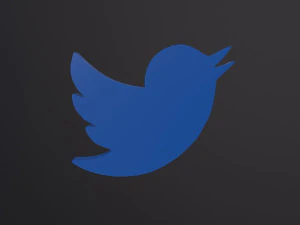 Twitter Bird Logo 3D Model