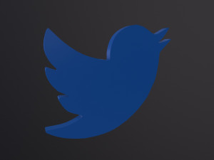 Twitter Bird Logo 3D 모델