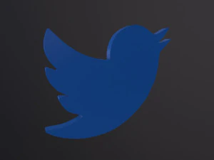 Twitter Bird Logo 3D Model