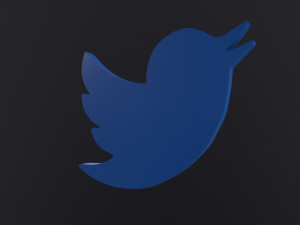 Twitter Bird Logo 3D 모델