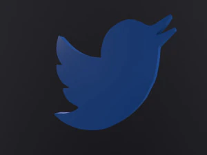 Twitter Bird Logo 3D Model