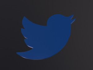Twitter Bird Logo 3D 모델