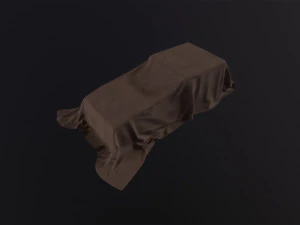 Tarp 3D Model