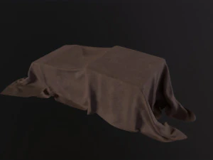 Tarp 3D Model
