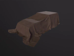 Tarp 3D Model
