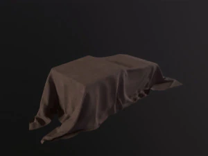 Tarp 3D Model