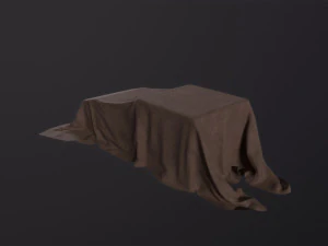 Tarp 3D Model