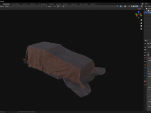 Tarp 3D Model