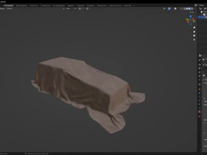 Tarp 3D Model
