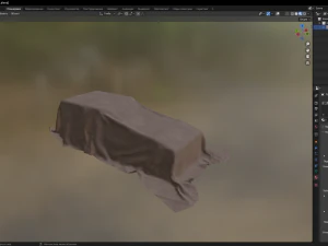Tarp 3D Model