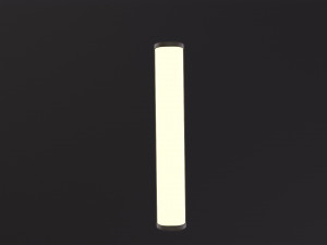 Fluorescent Bulb 3D 모델