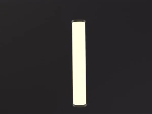Fluorescent Bulb 3D Model