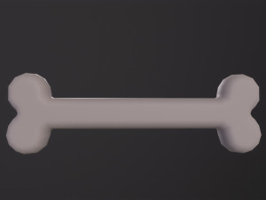 Bone 3D Model