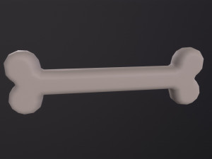 Bone Modèle 3D