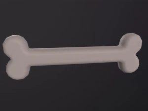 Bone 3D Model