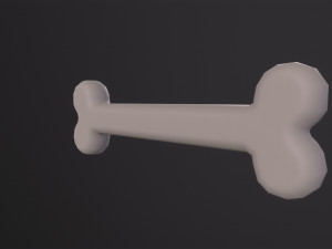 Bone Modèle 3D