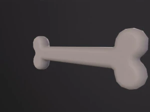 Bone 3D Model