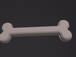Bone Modèle 3D