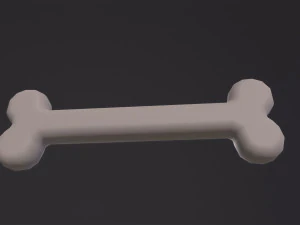 Bone 3D Model