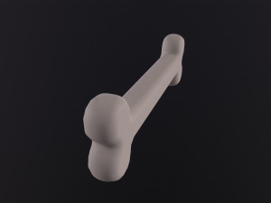 Bone Modèle 3D