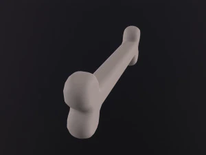 Bone 3D Model