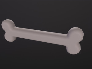 Bone Modèle 3D