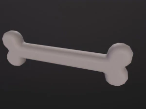 Bone 3D Model