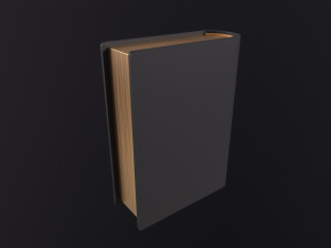 The Holy Bible 3D 模型