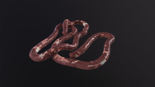 Intestines Pile Horror 3D Модель .c4d .max .obj .3ds .fbx .stl .blend 