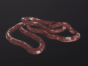 Intestines Pile Horror 3D Model