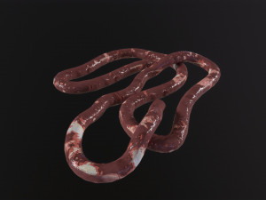 Intestines Pile Horror 3D Модель