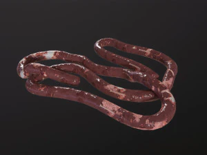 Intestines Pile Horror 3D Model
