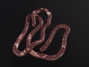 Intestines Pile Horror 3D Model