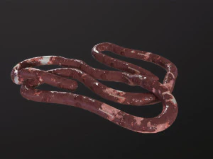 Intestines Pile Horror 3D Model