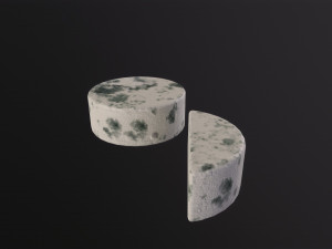 Gorgonzola Cheeses Model 3D