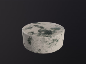Gorgonzola Cheeses Model 3D